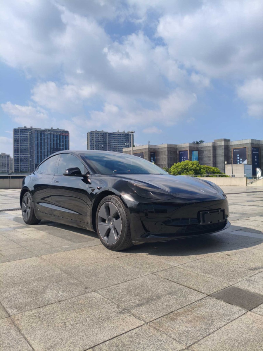 Tesla Model 3 2022 #3 Tesla Model 3 2022 car image #3