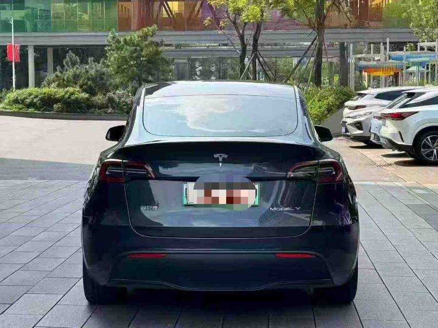 Tesla Model Y 2024 #8 Tesla Model Y 2024 car image #8