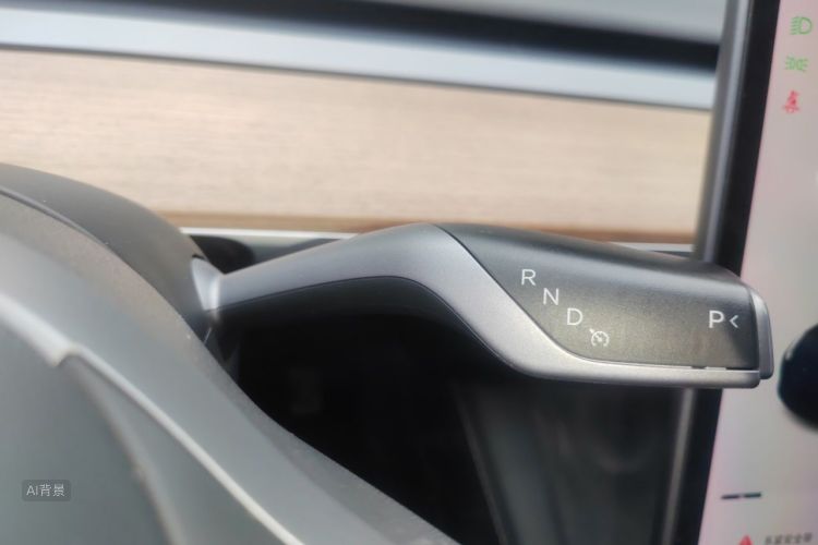 Tesla Model 3 2021 car image #16