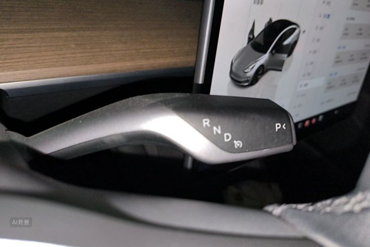Tesla Model 3 2022 car image #16