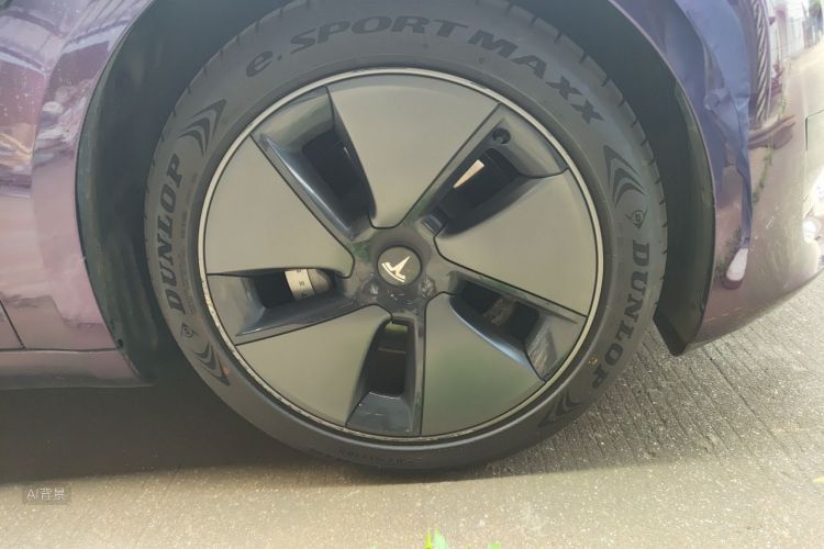 Tesla Model 3 2021 car image #9