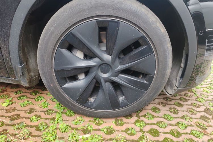 Tesla Model Y 2023 car image #6