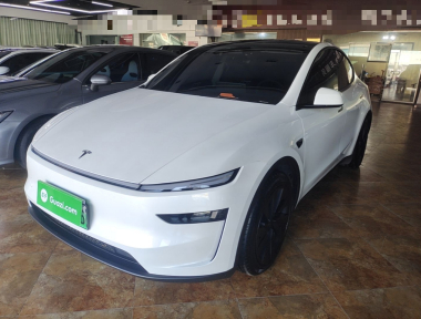 Tesla Model Y 2025 car image 