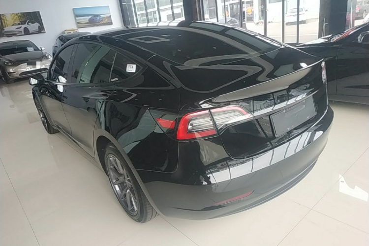 Tesla Model 3 2023 #5 Tesla Model 3 2023 car image #5