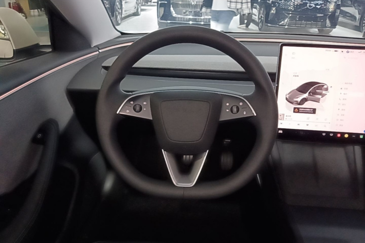 Tesla Model 3 2025 car image #11