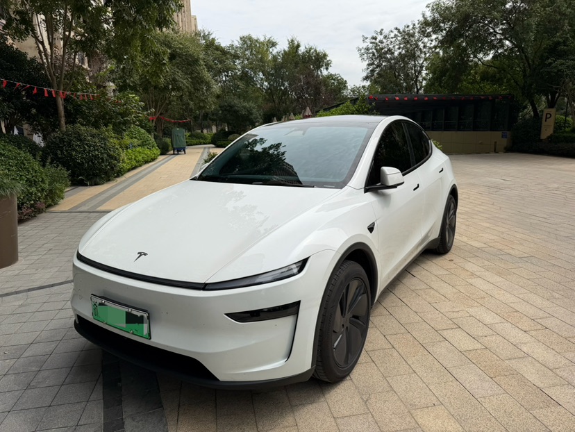 Tesla Model Y 2025 Tesla Model Y 2025 car image