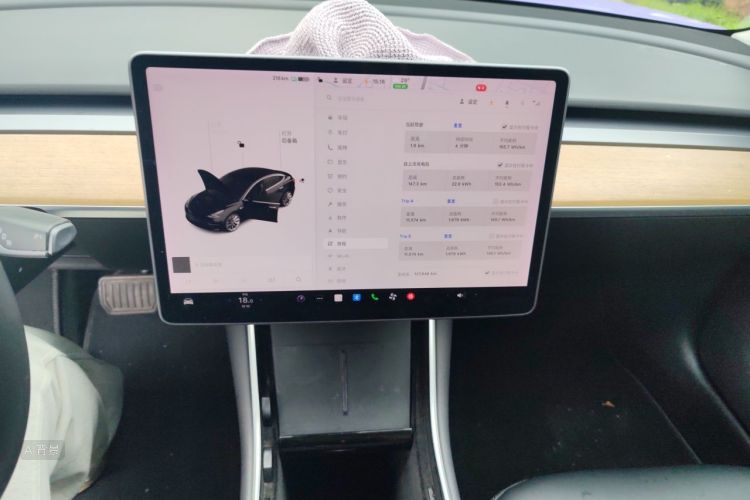 Tesla Model 3 2020 car image #15