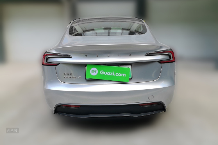 Tesla Model 3 2023 car image #6