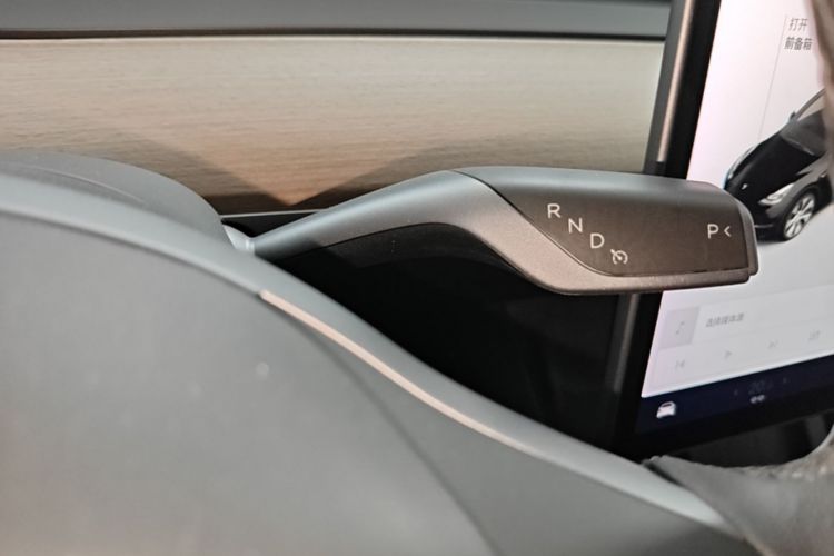 Tesla Model Y 2021 car image #16