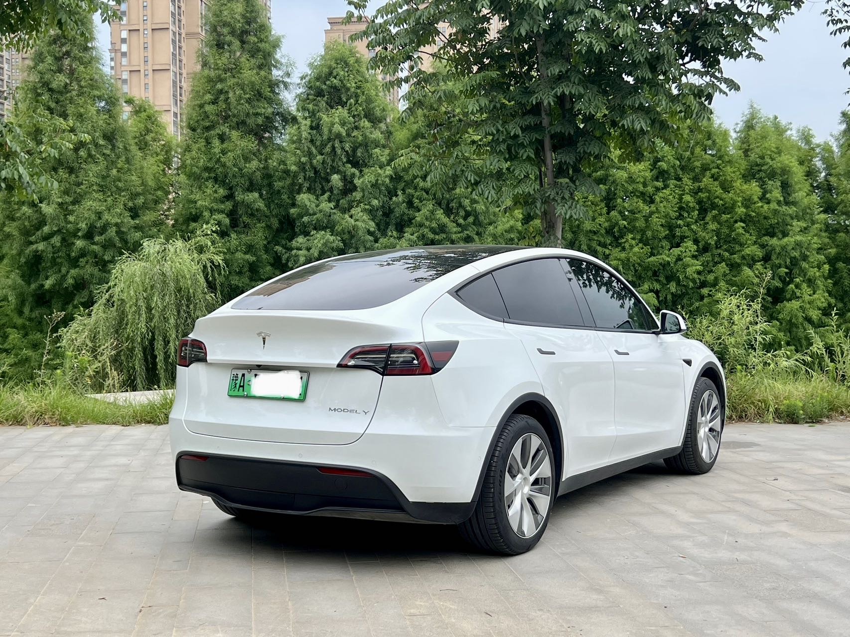 Tesla Model Y 2023 #8 Tesla Model Y 2023 car image #8