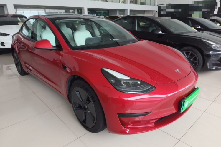Tesla Model 3 2021 immagine di auto #4