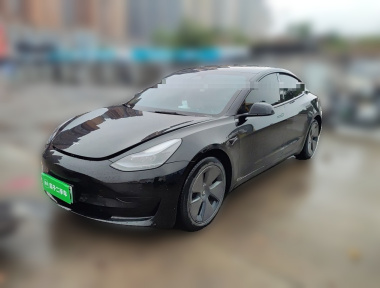 Tesla Model 3 2023 Tesla Model 3 2023 car image