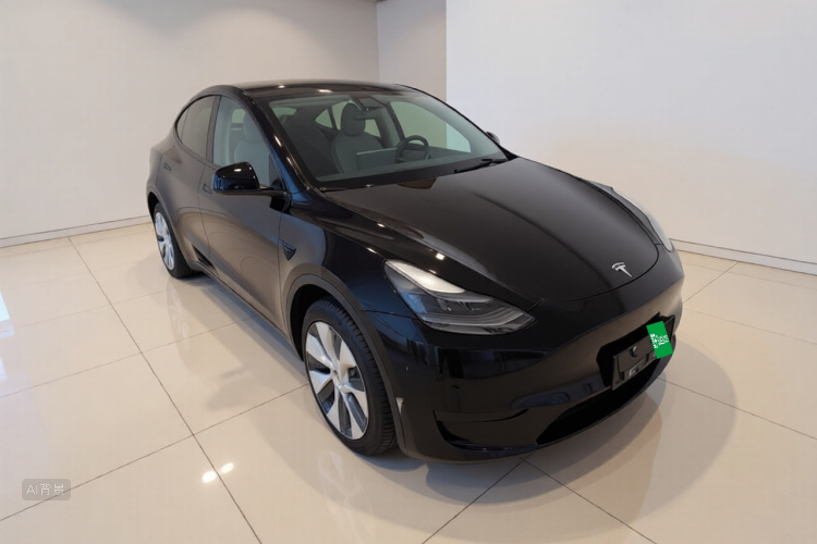 Tesla Model Y 2022 car image #4