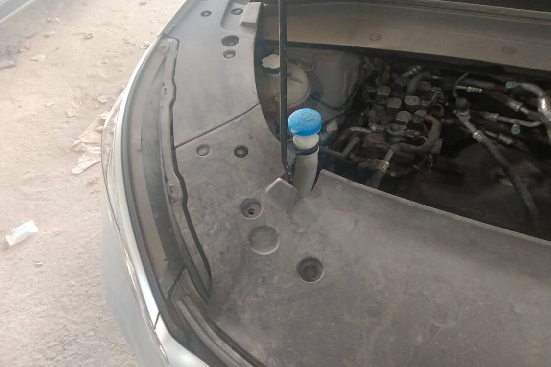 BYD Yuan Plus 2024 immagine di auto #11