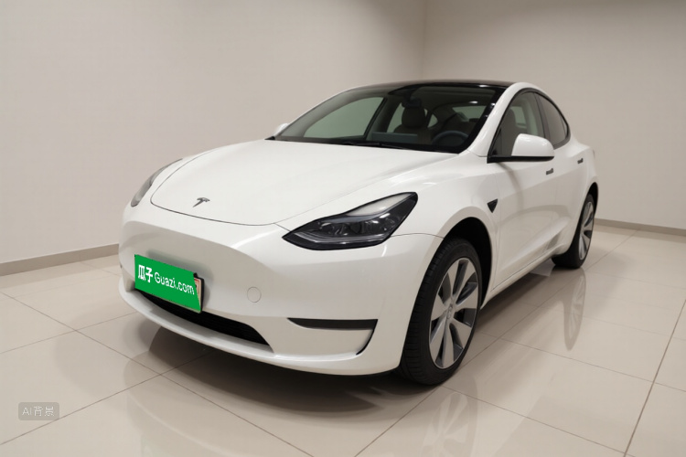 Tesla Model Y 2022 car image #2
