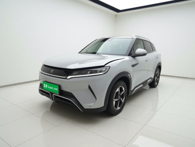 BYD YuanUP 2024 car image 