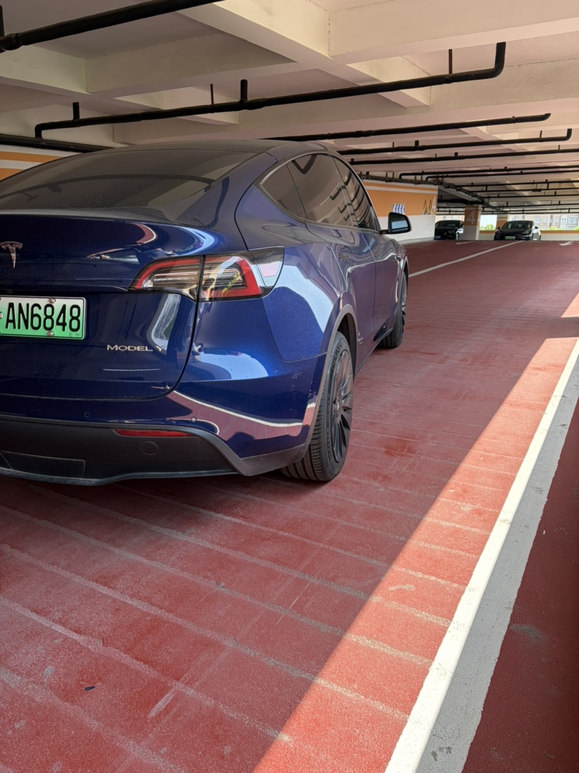Tesla Model Y 2021 #8 Tesla Model Y 2021 car image #8