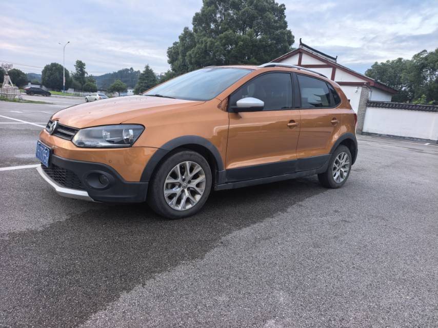 Volkswagen Polo 2014 car image 