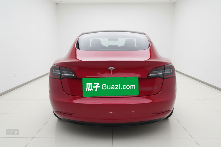 Tesla Model 3 2020 car image #6