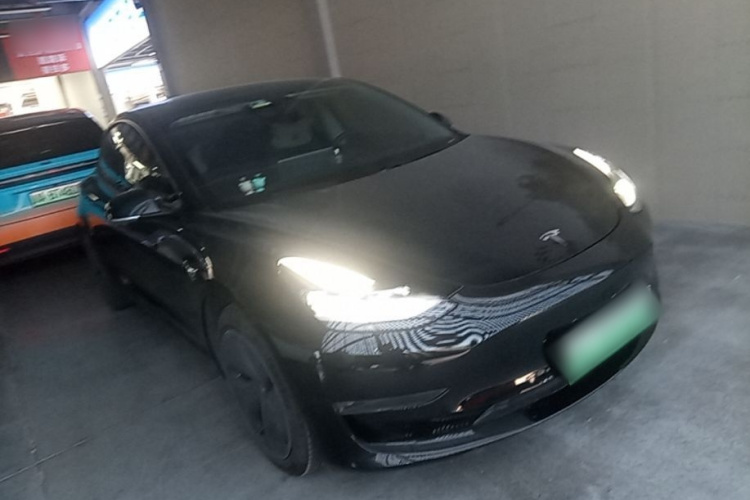 Tesla Model 3 2020 car image #6