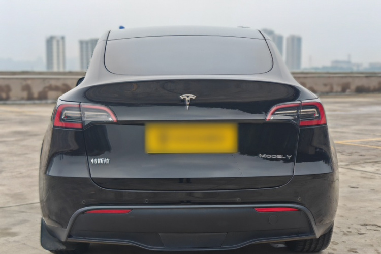Tesla Model Y 2021 immagine di auto #3