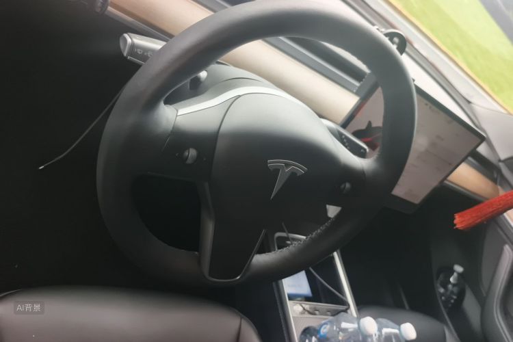 Tesla Model 3 2022 car image #12