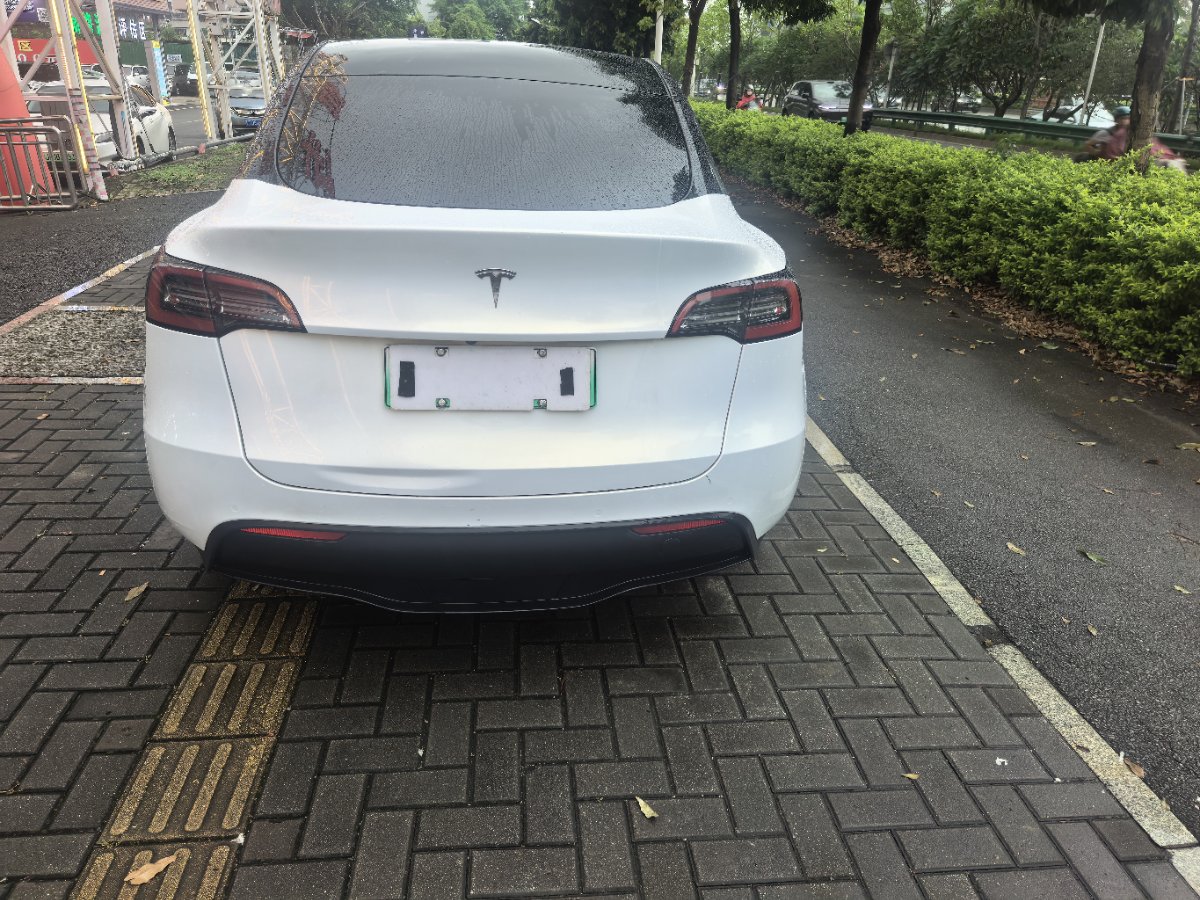 Tesla Model Y 2021 car image #4