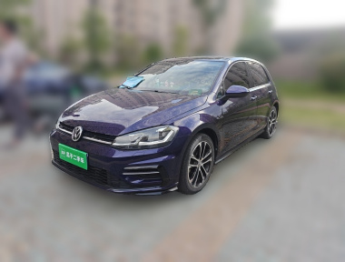 Volkswagen Golf 2019 Volkswagen Golf 2019 car image
