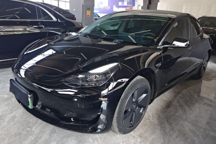 Tesla Model 3 2023 #2 Tesla Model 3 2023 car image #2