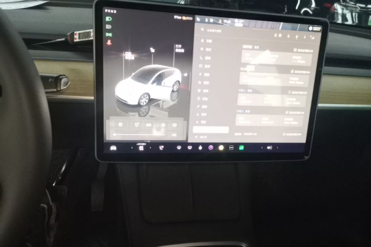 Tesla Model Y 2022 car image #13