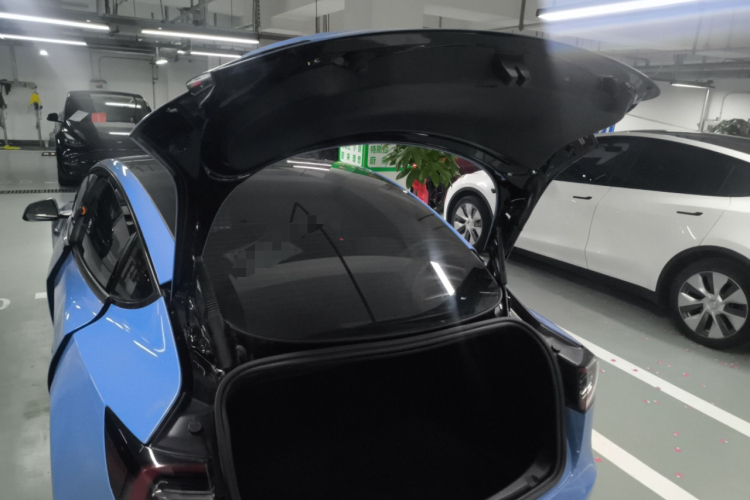 Tesla Model 3 2022 #19 Tesla Model 3 2022 car image #19
