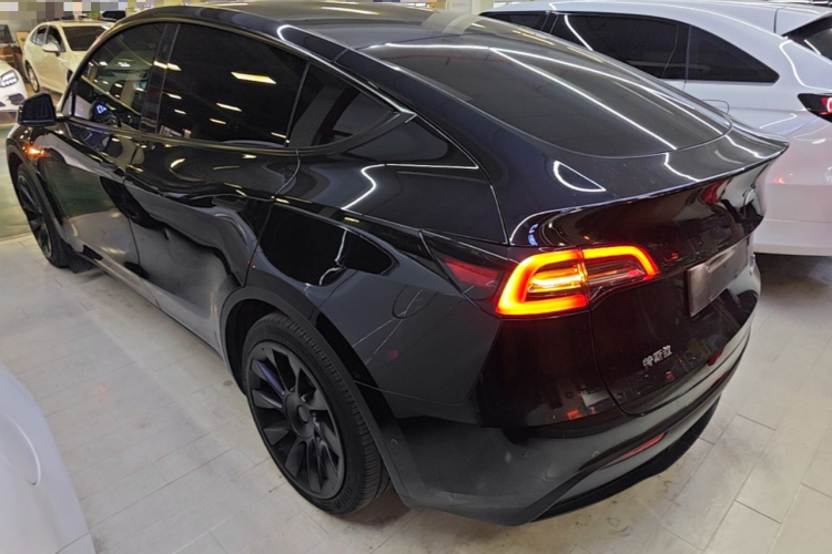 Tesla Model Y 2021 #7 Tesla Model Y 2021 car image #7