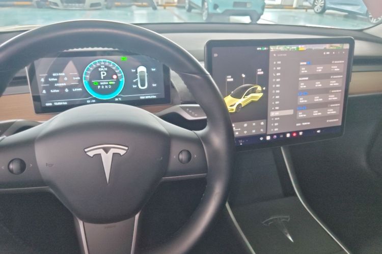 Tesla Model 3 2020 car image #14