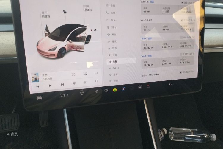Tesla Model 3 2020 car image #15