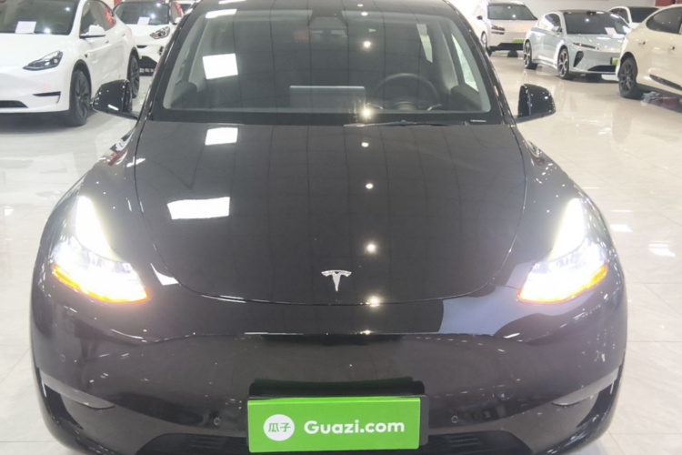 Tesla Model Y 2021 #3 Tesla Model Y 2021 car image #3