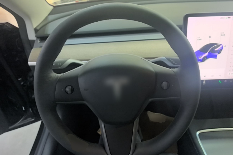 Tesla Model 3 2021 #11 Tesla Model 3 2021 car image #11