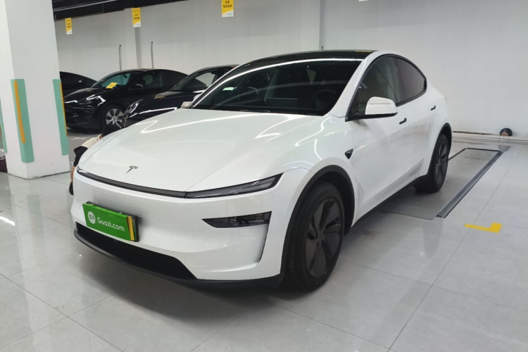 Tesla Model Y 2025 car image #2