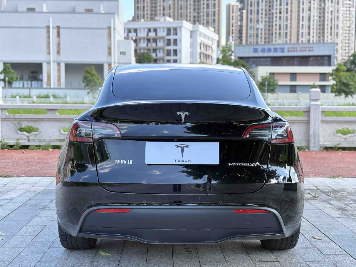 Tesla Model Y 2022 car image #8