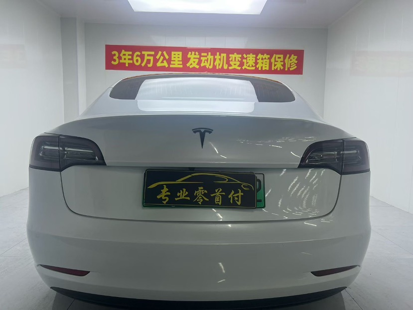 Tesla Model 3 2020 car image #4