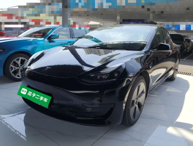 Tesla Model 3 2021 car image 