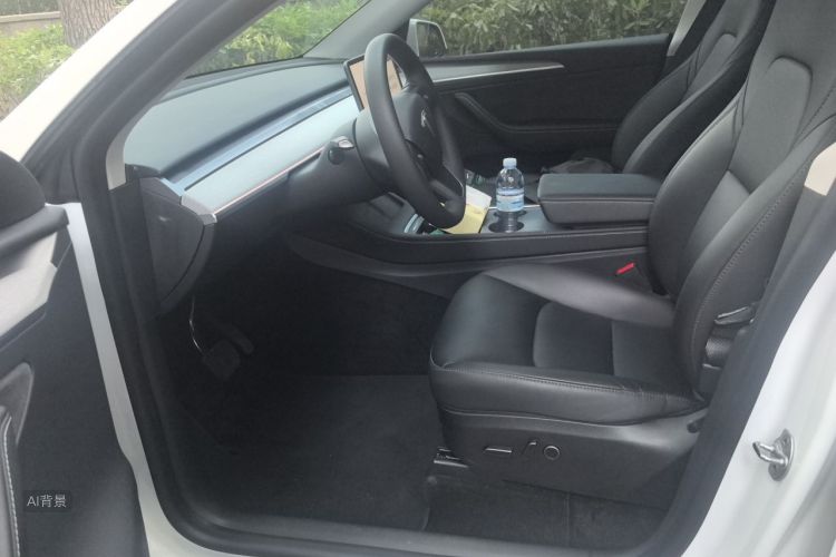 Tesla Model Y 2024 car image #17
