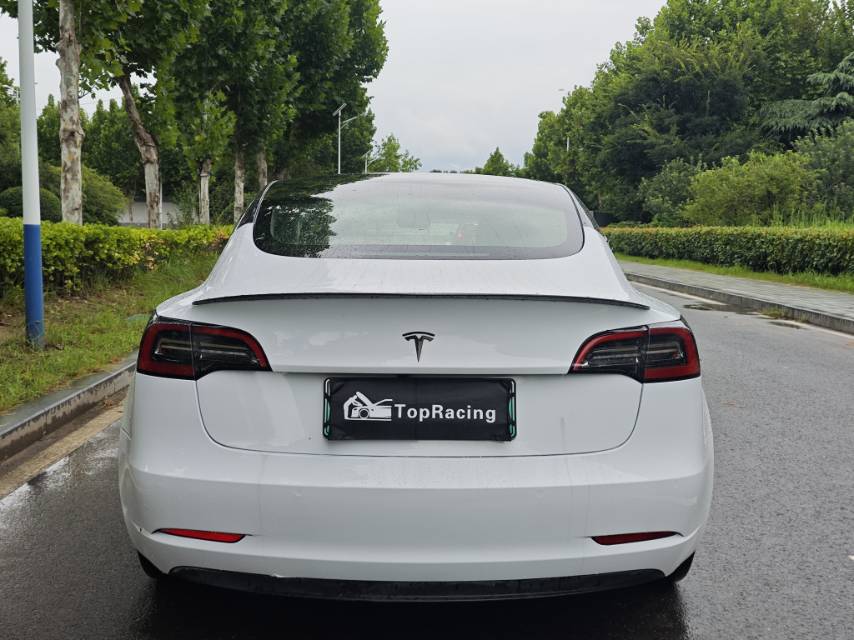 Tesla Model 3 2022 #8 Tesla Model 3 2022 car image #8