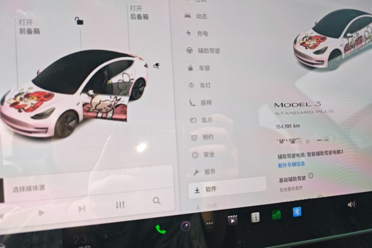 Tesla Model 3 2020 car image #12