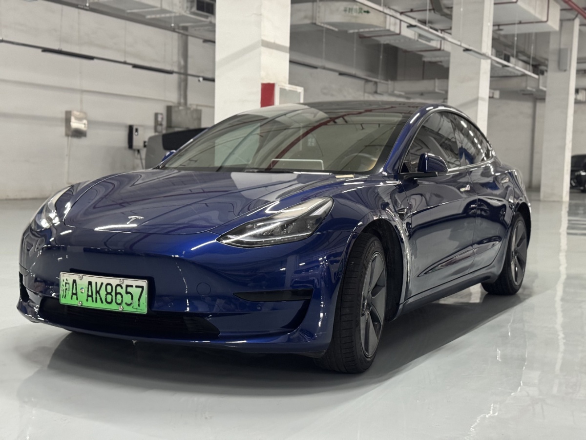 Tesla Model 3 2022 Tesla Model 3 2022 car image