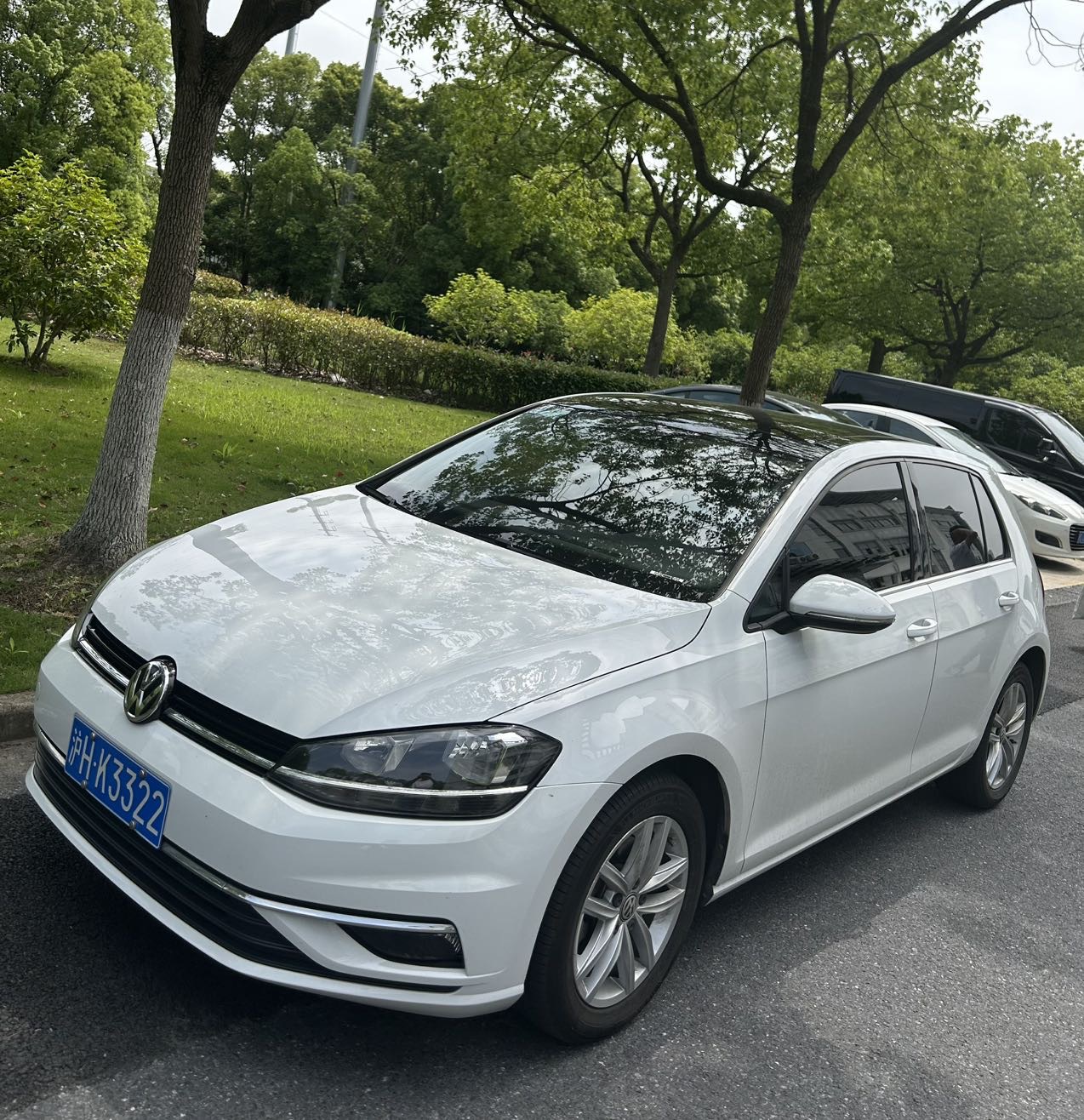 Volkswagen Golf 2019 Volkswagen Golf 2019 car image