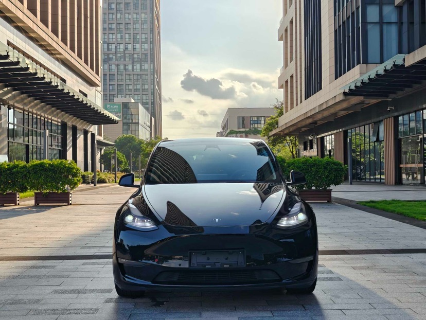 Tesla Model Y 2022 Tesla Model Y 2022 immagine di auto