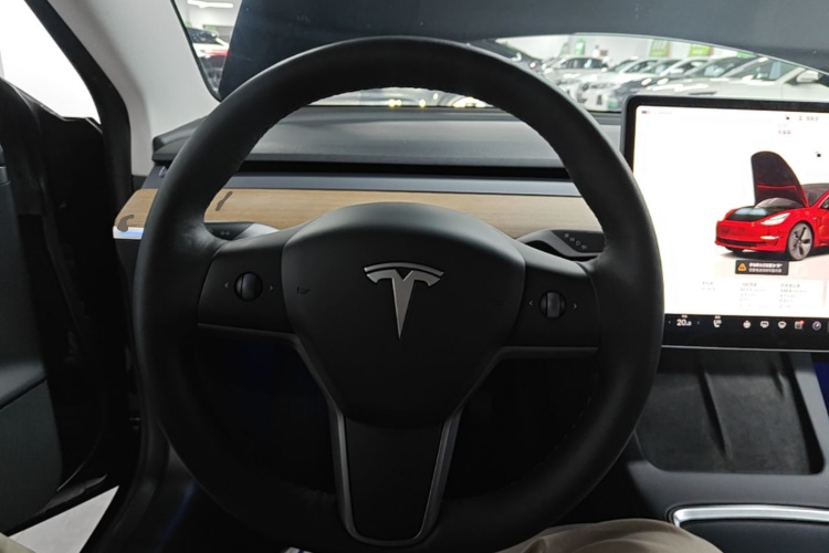Tesla Model 3 2022 #11 Tesla Model 3 2022 car image #11