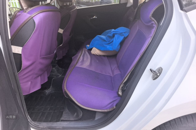Volkswagen Polo 2016 car image #19