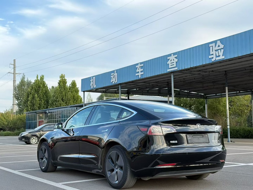 Tesla Model 3 2020 immagine di auto #7