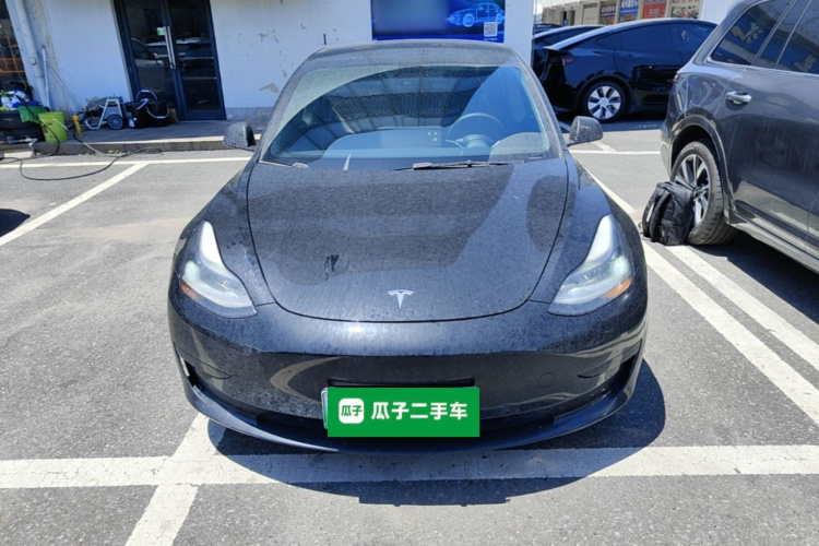 Tesla Model 3 2021 #3 Tesla Model 3 2021 car image #3